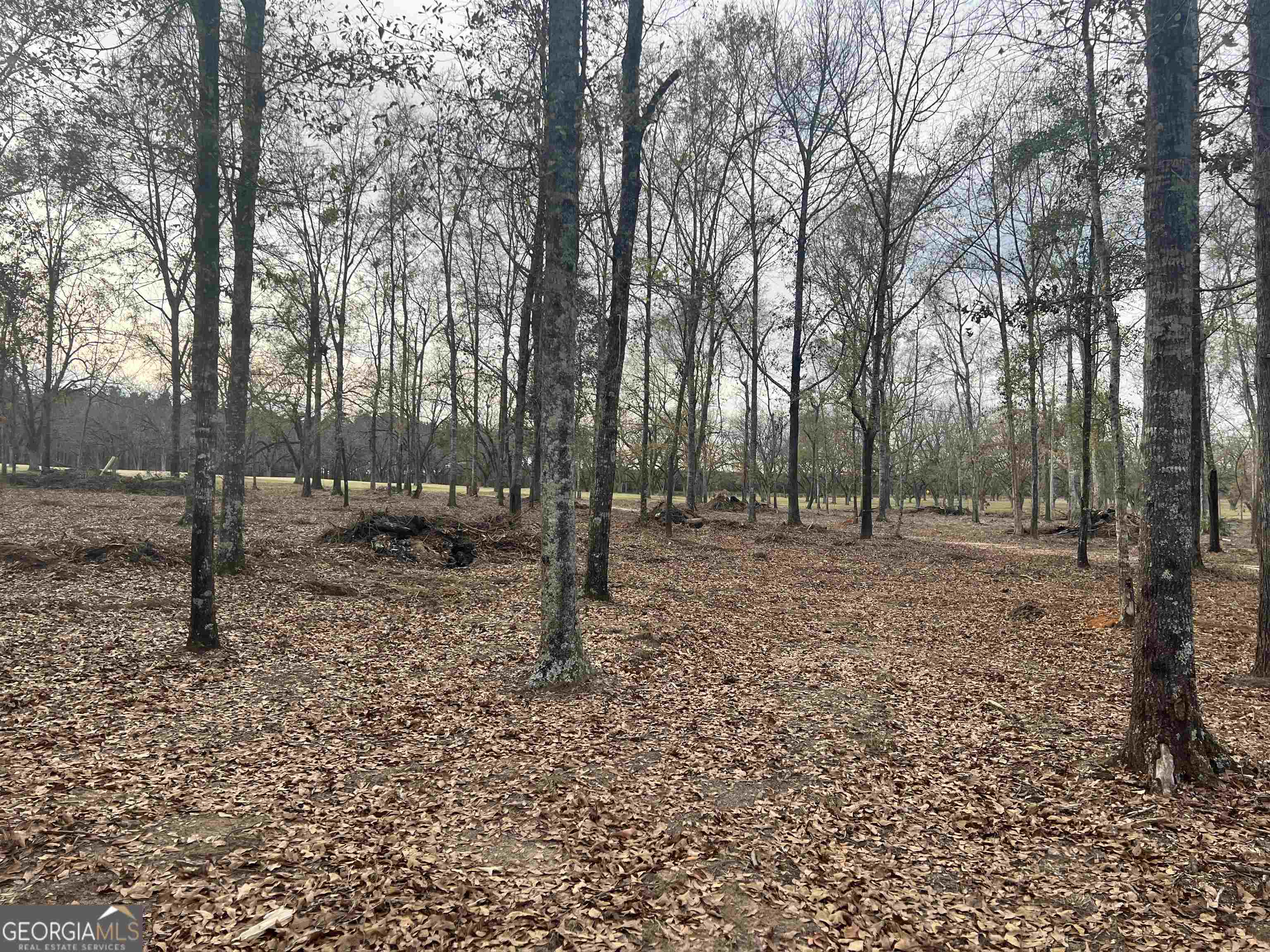 2382 Gallimore Mill Road Property Photo 95