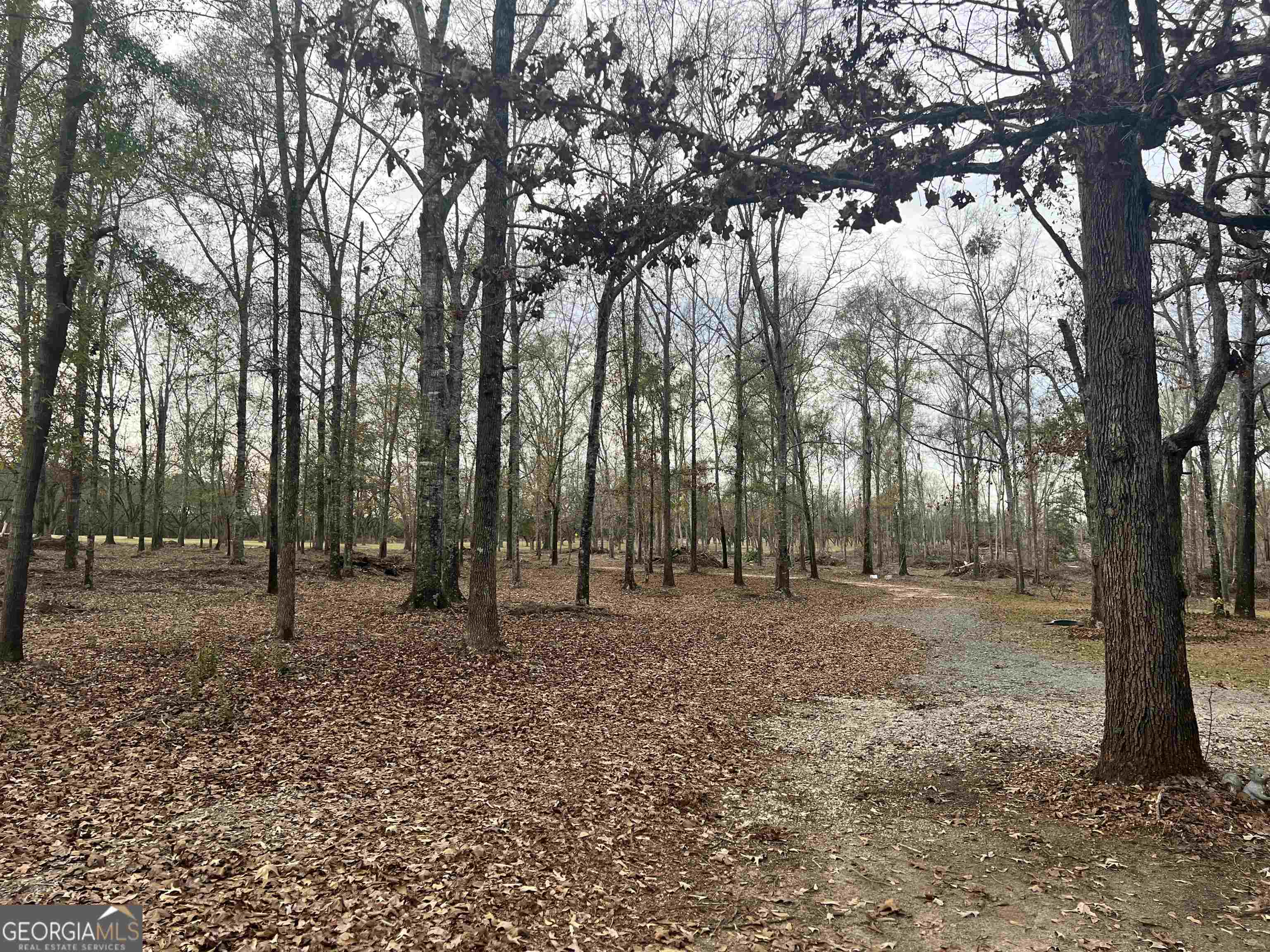 2382 Gallimore Mill Road Property Photo 100