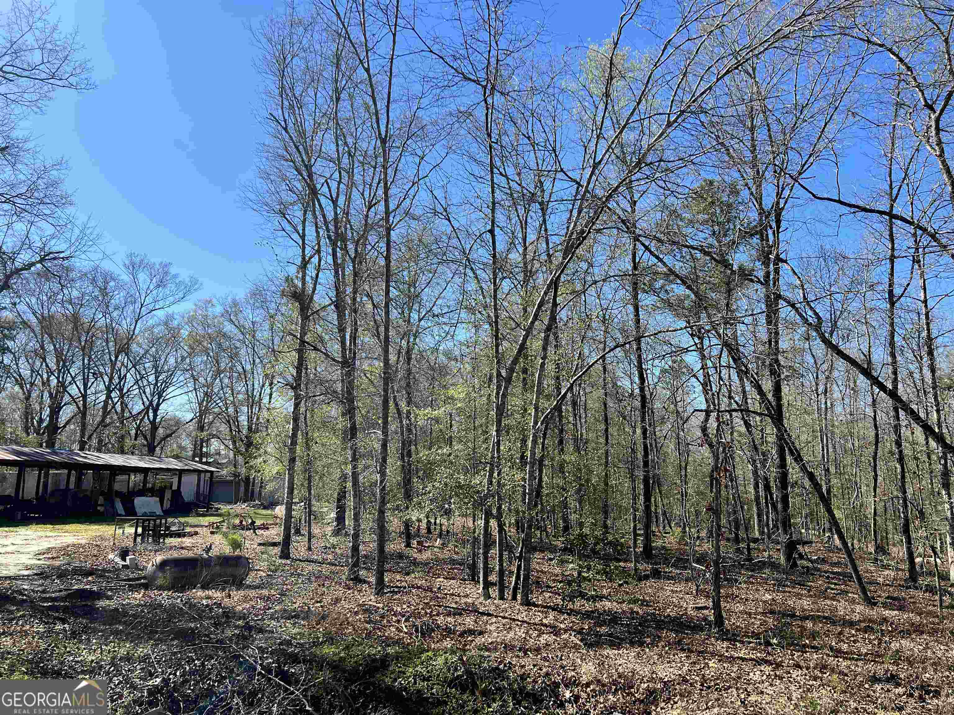 2382 Gallimore Mill Road Property Photo 113