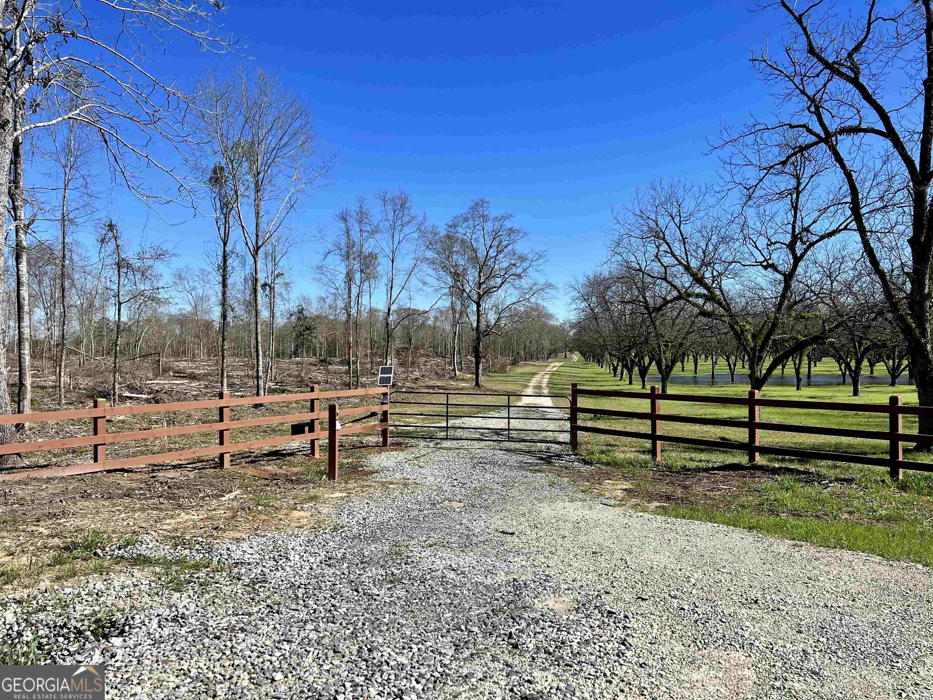 2382 Gallimore Mill Road Property Photo 114