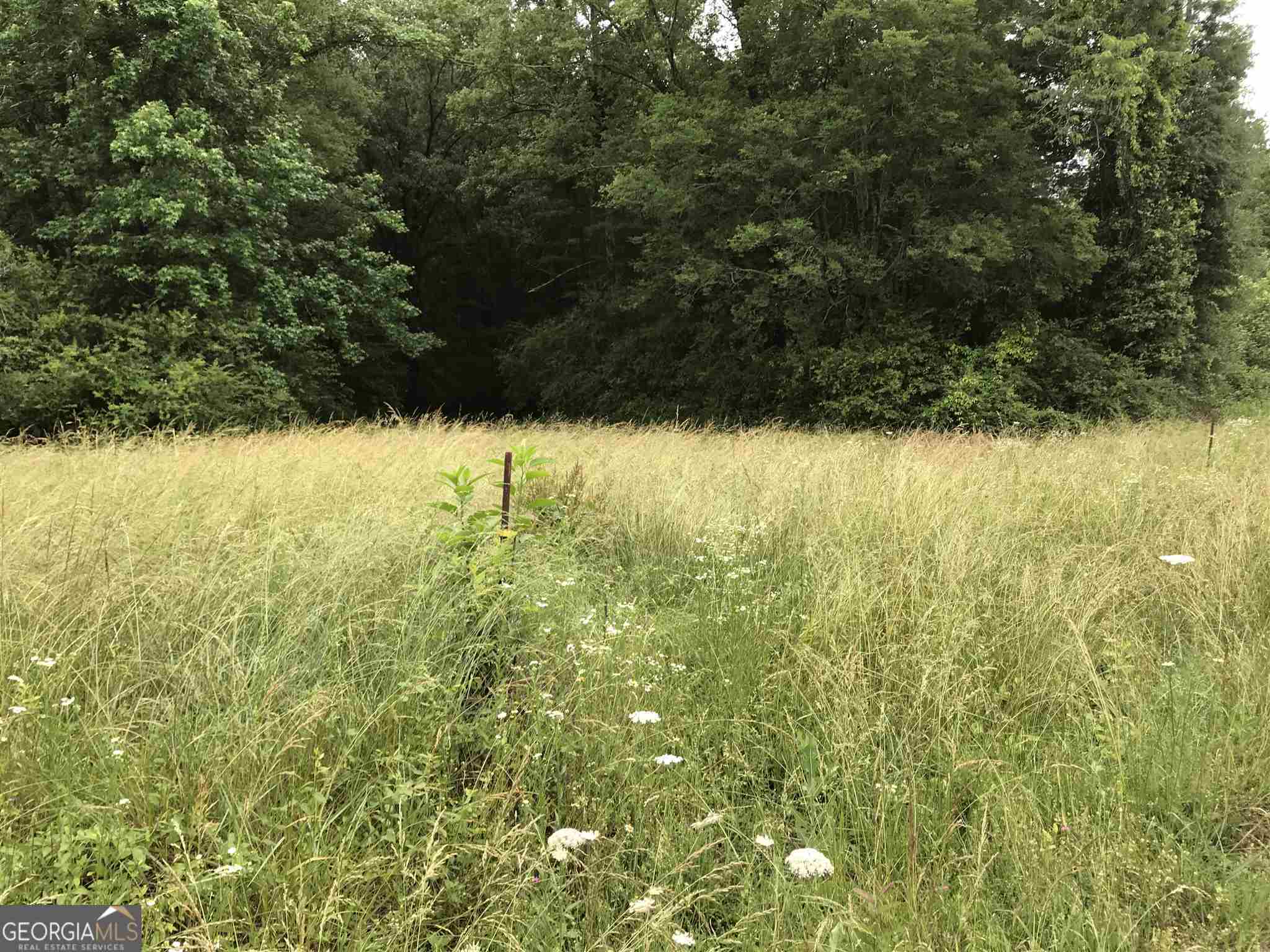 0 Horseshoe Loop Property Photo 1