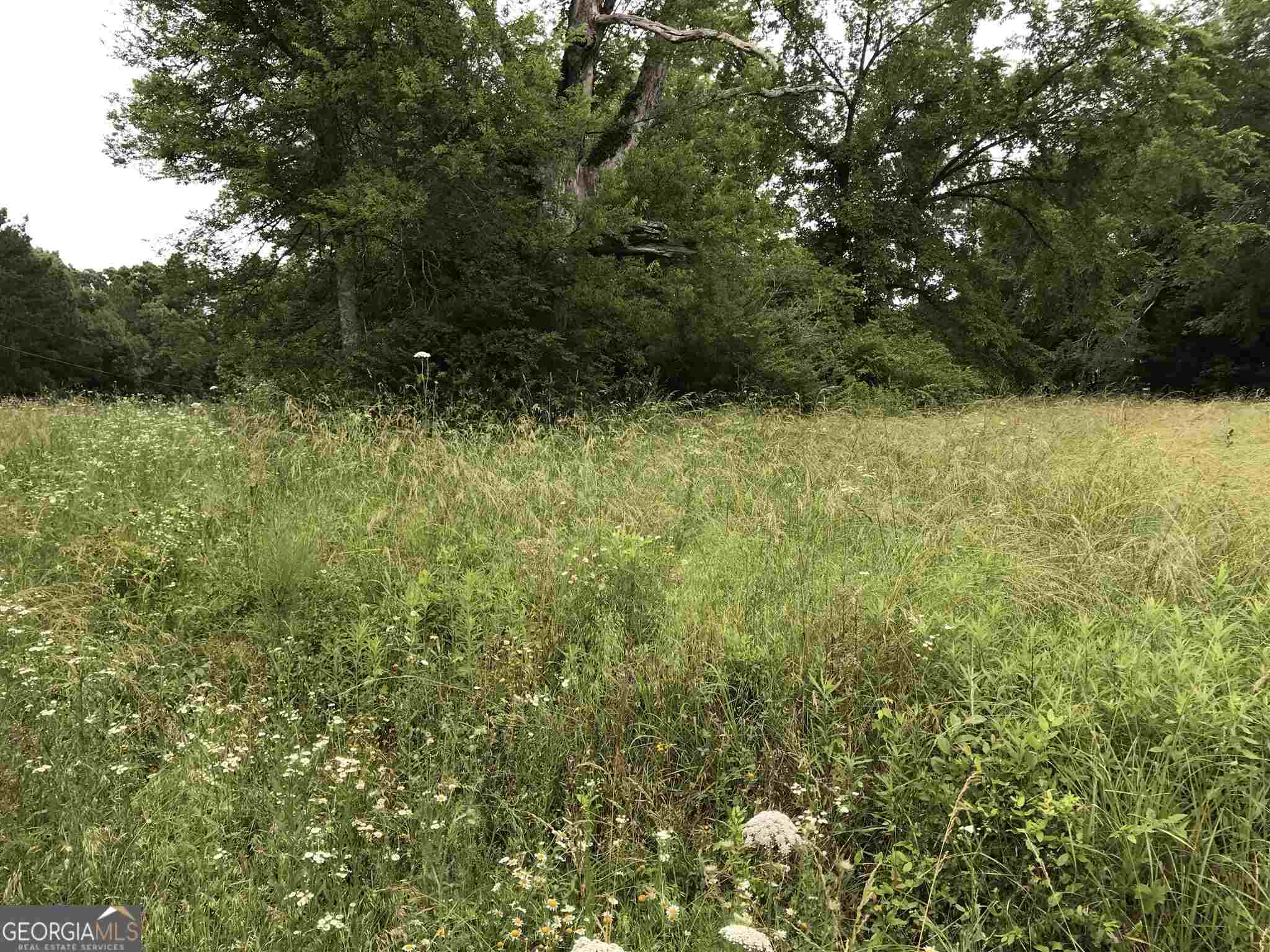 0 Horseshoe Loop Property Photo 2