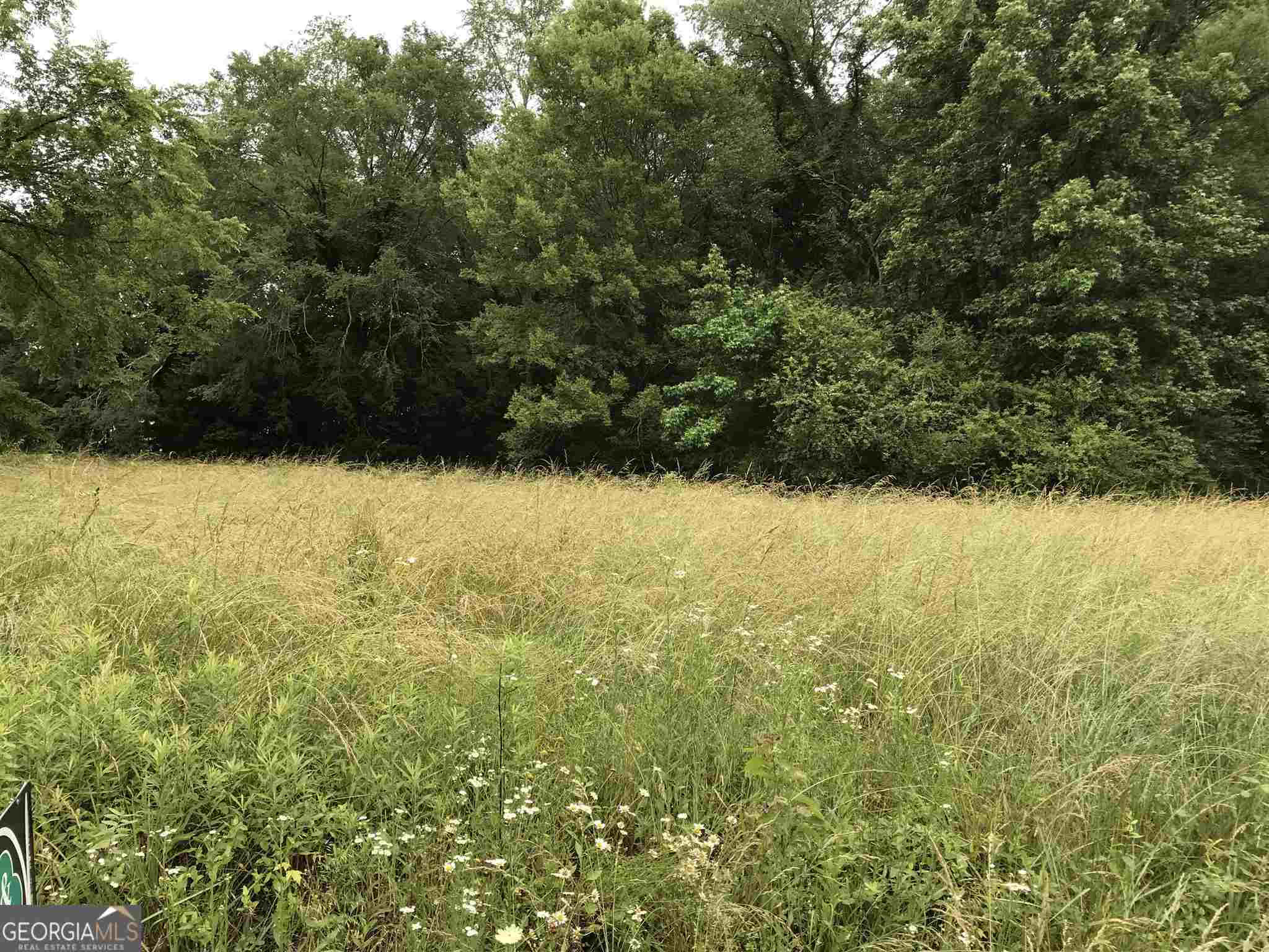0 Horseshoe Loop Property Photo 3