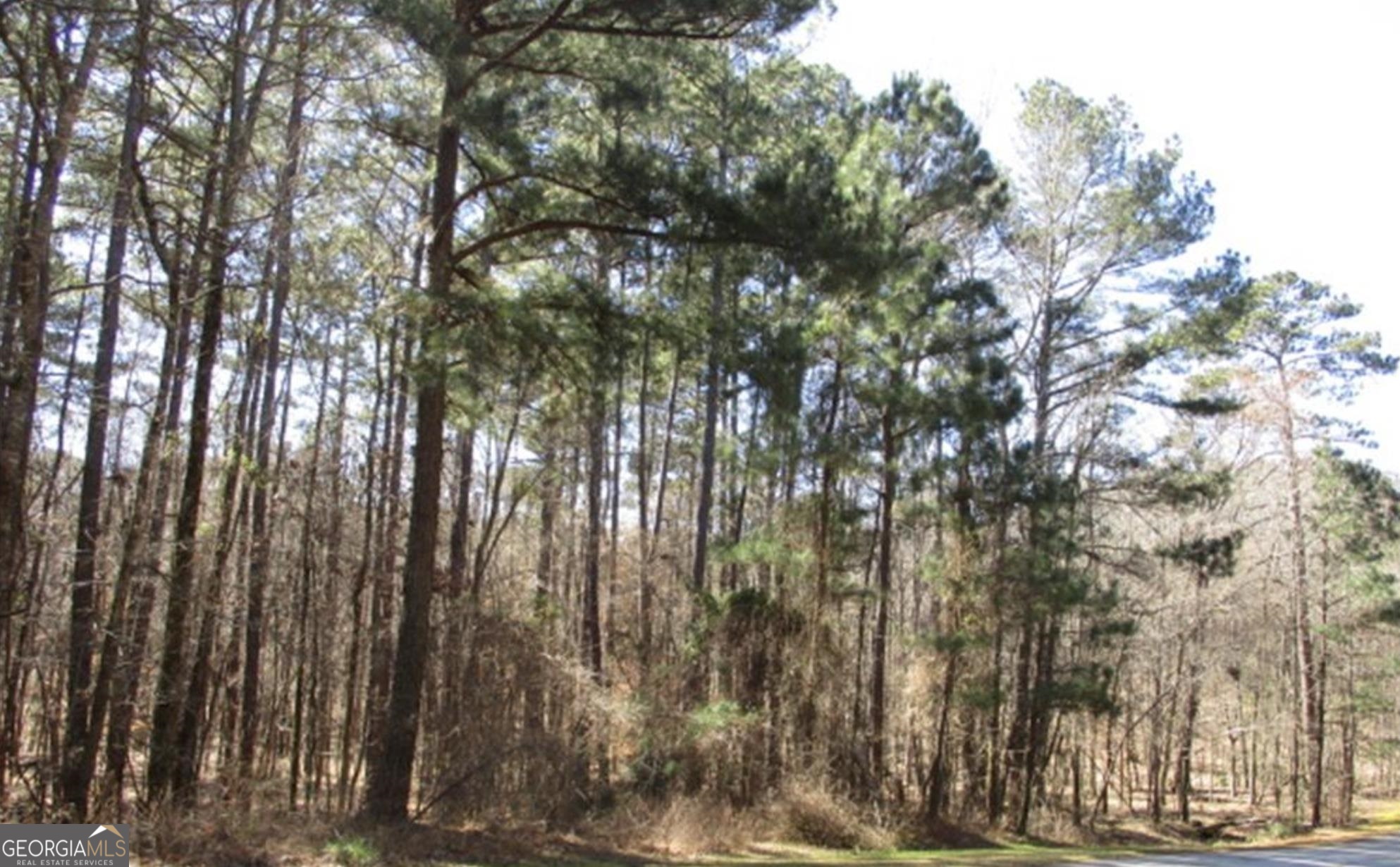 1170 Anchor Bay Circle Property Photo 2