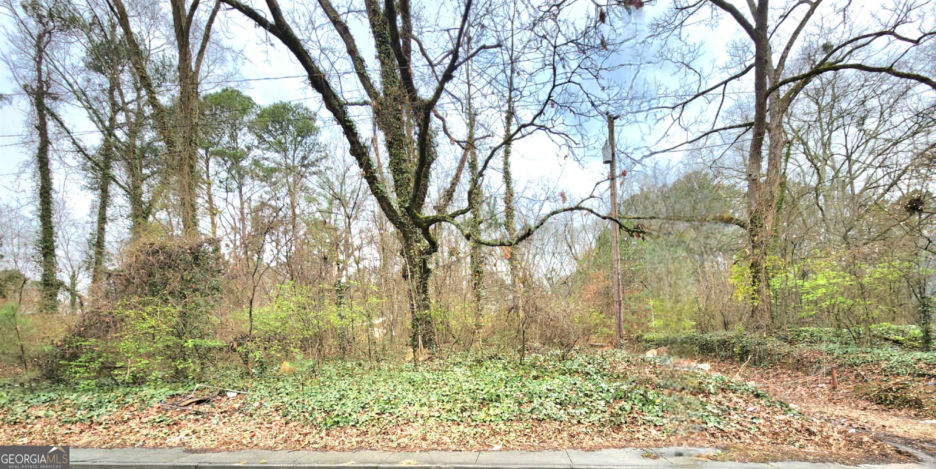 0 Jonesboro Road