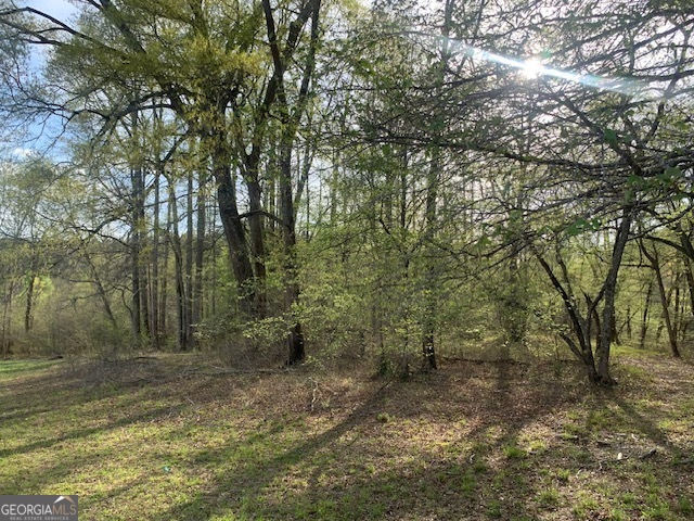 0 County Rd 290 Road Property Photo 2