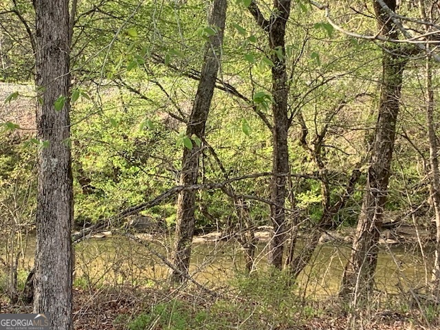 0 County Rd 290 Road Property Photo 3