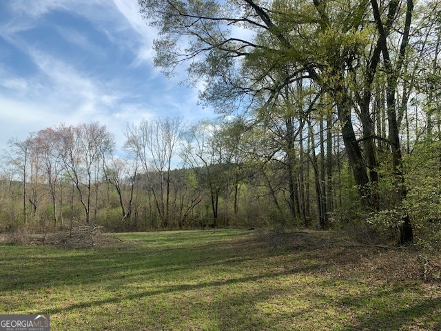 0 County Rd 290 Road Property Photo 4