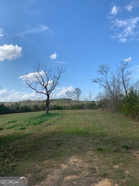 0 County Rd 290 Road Property Photo 5