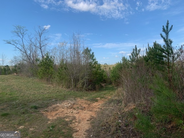 0 County Rd 290 Road Property Photo 6