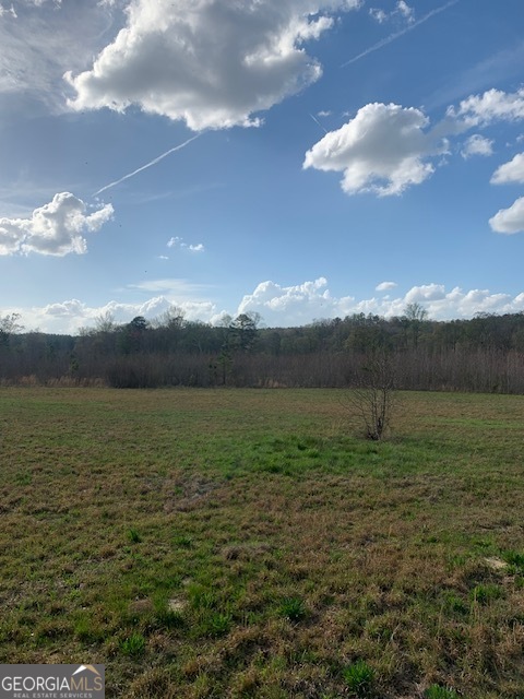 0 County Rd 290 Road Property Photo 8