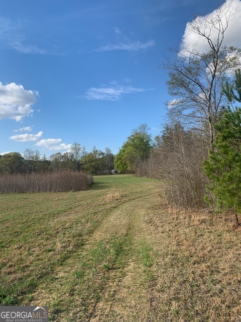 0 County Rd 290 Road Property Photo 9