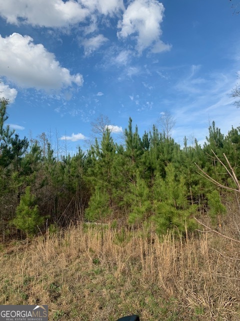 0 County Rd 290 Road Property Photo 10