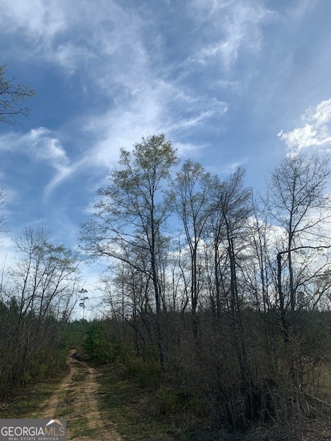 0 County Rd 290 Road Property Photo 15