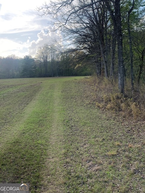 0 County Rd 290 Road Property Photo 16