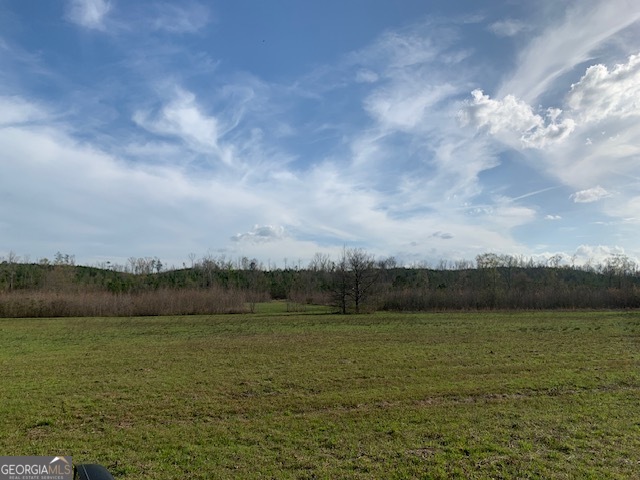 0 County Rd 290 Road Property Photo 19