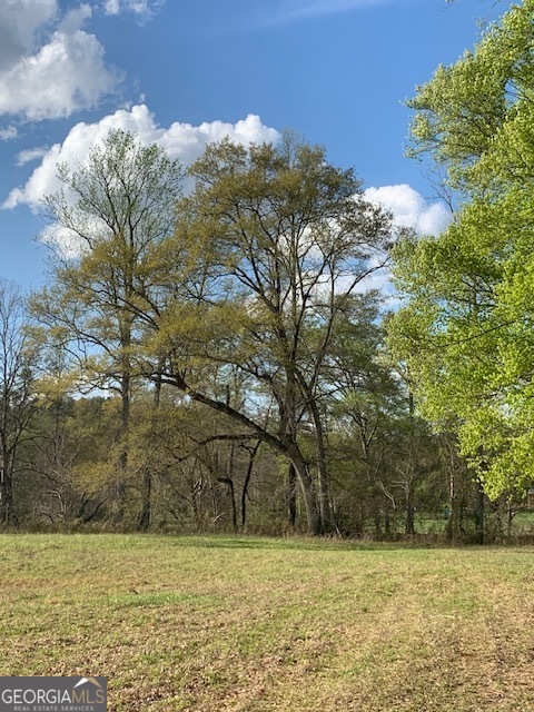 0 County Rd 290 Road Property Photo 21