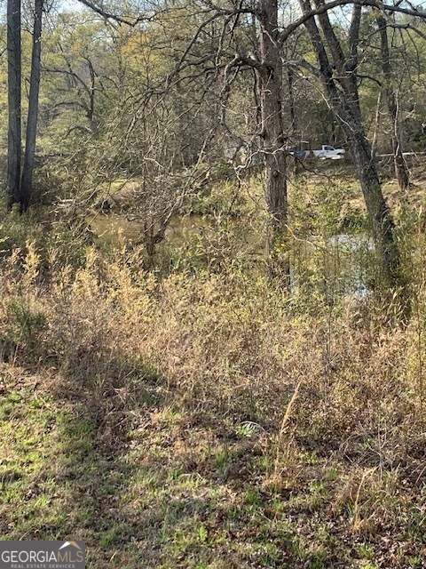 0 County Rd 290 Road Property Photo 22