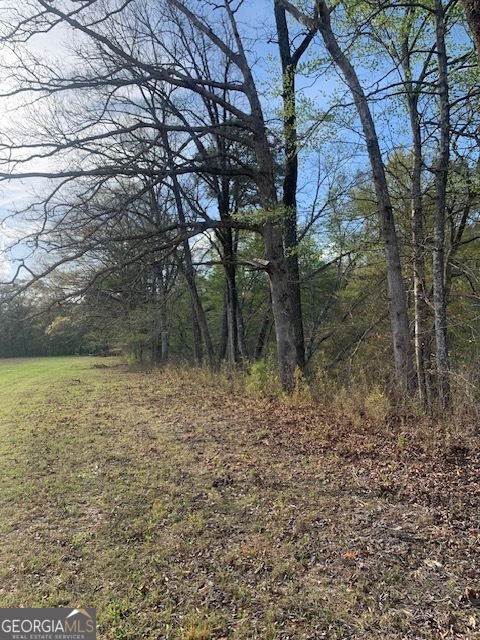 0 County Rd 290 Road Property Photo 24