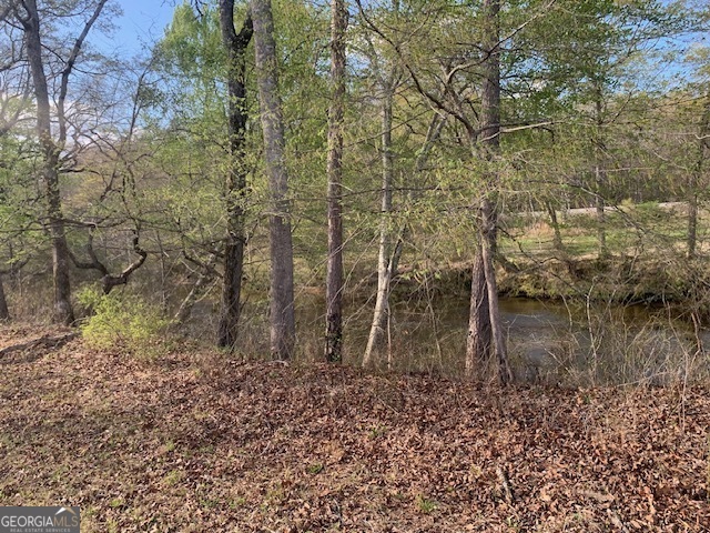 0 County Rd 290 Road Property Photo 27