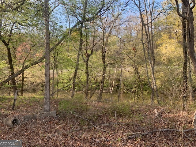 0 County Rd 290 Road Property Photo 28