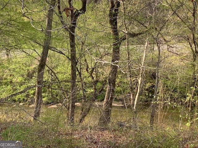 0 County Rd 290 Road Property Photo 29