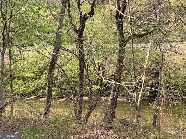 0 County Rd 290 Road Property Photo 30