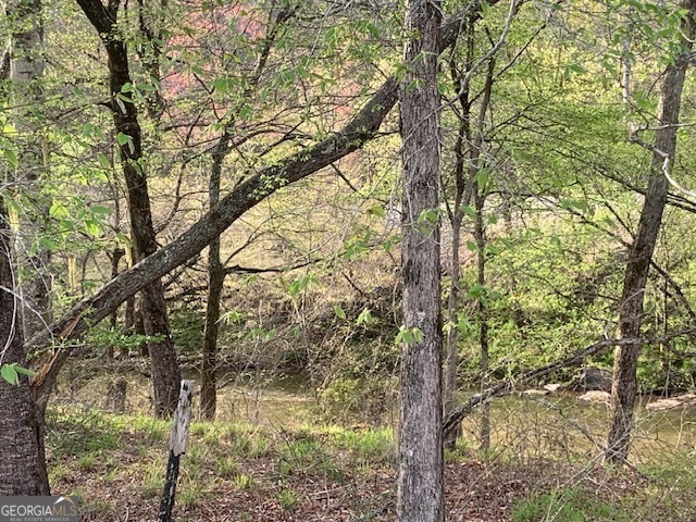 0 County Rd 290 Road Property Photo 31
