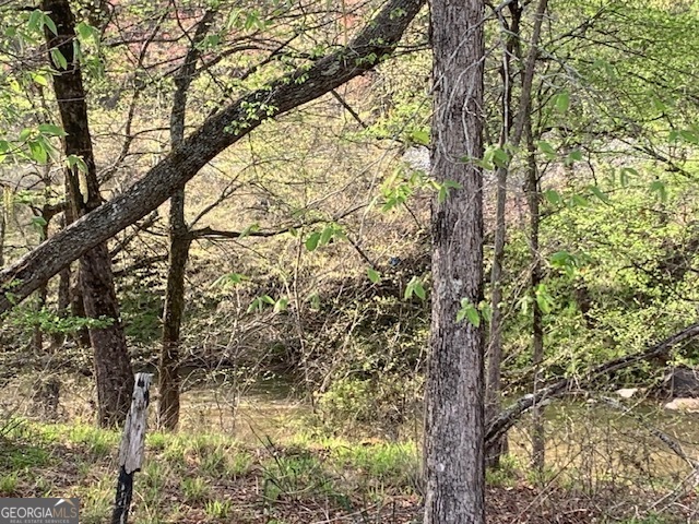 0 County Rd 290 Road Property Photo 32