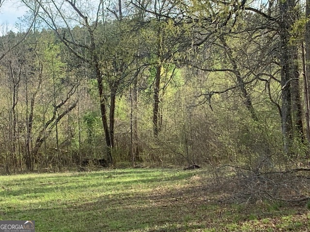 0 County Rd 290 Road Property Photo 33