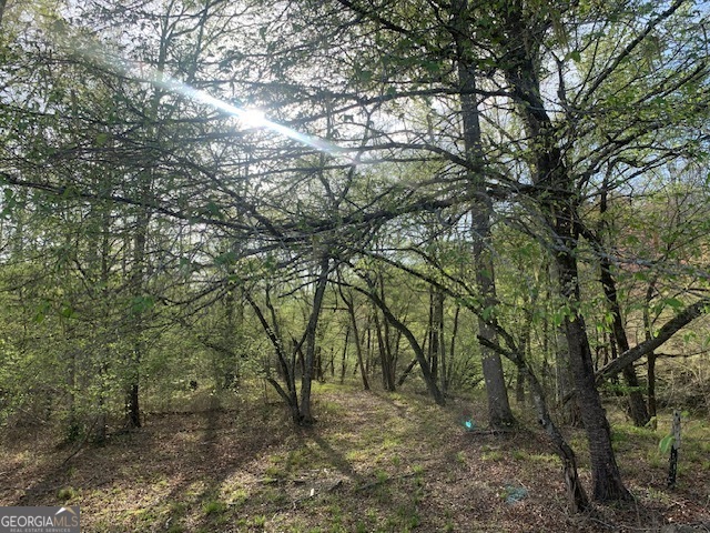 0 County Rd 290 Road Property Photo 37