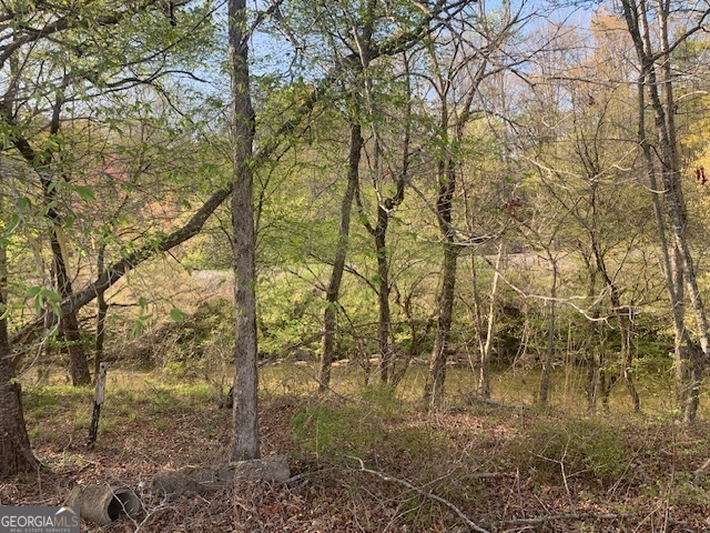 0 County Rd 290 Road Property Photo 38