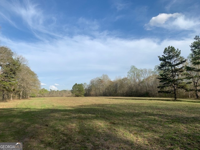 0 County Rd 290 Road Property Photo 39