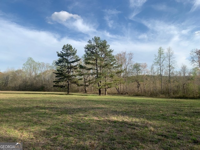 0 County Rd 290 Road Property Photo 40