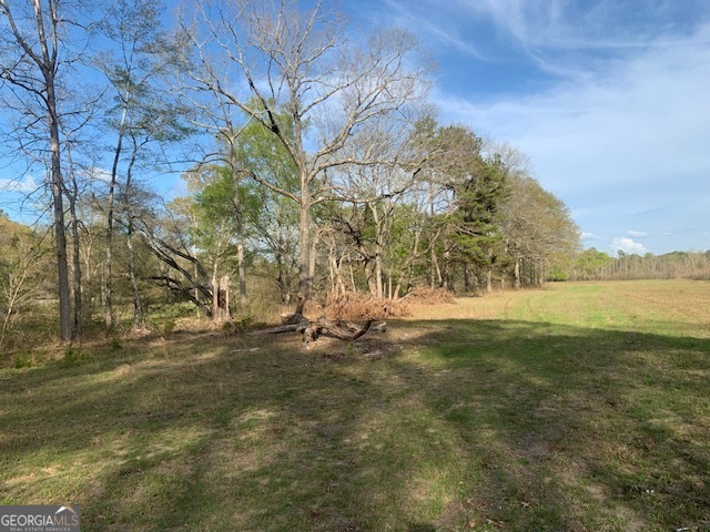 0 County Rd 290 Road Property Photo 41