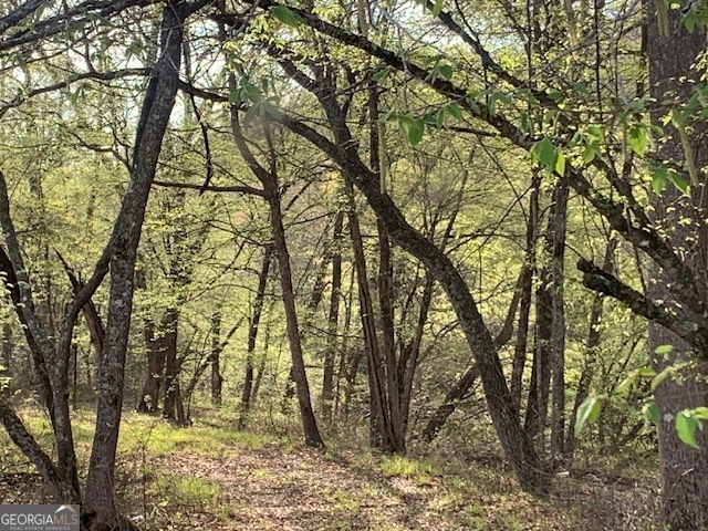 0 County Rd 290 Road Property Photo 42