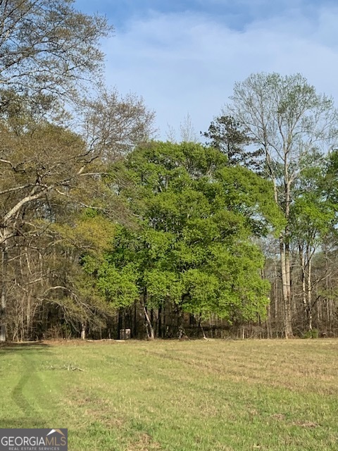 0 County Rd 290 Road Property Photo 43