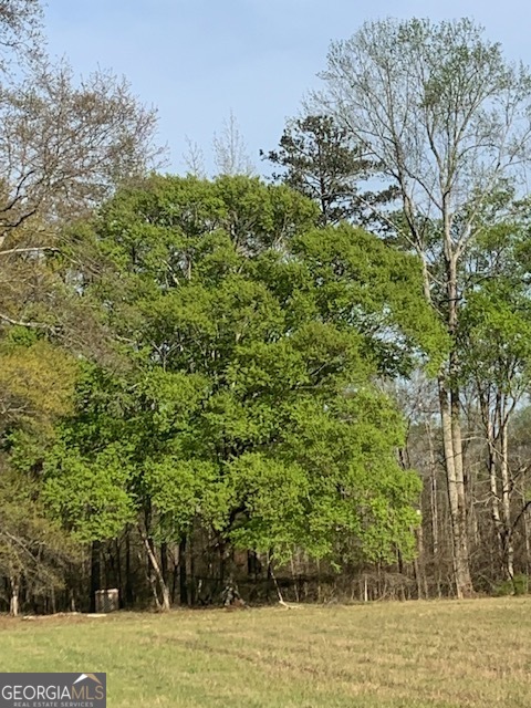0 County Rd 290 Road Property Photo 44