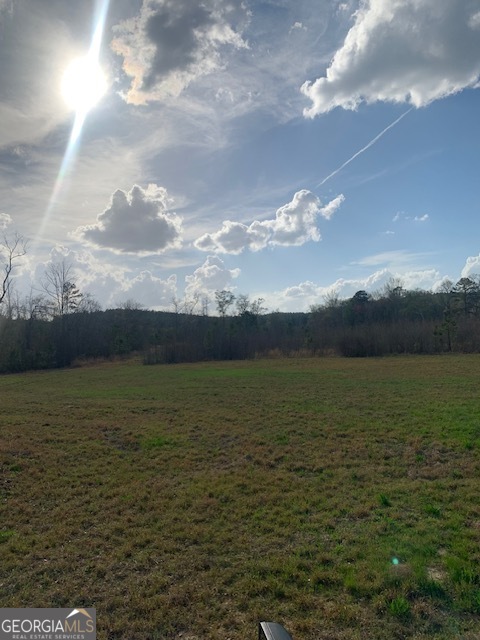 0 County Rd 290 Road Property Photo 46