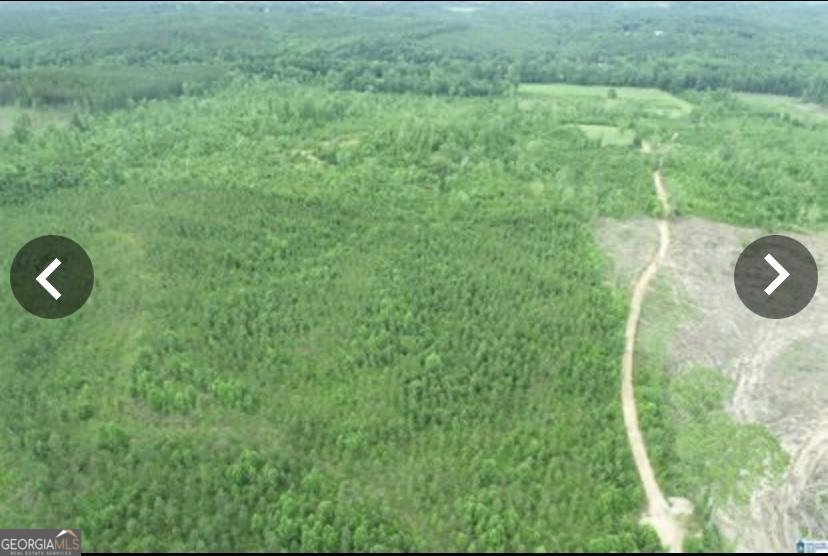 0 County Rd 290 Road Property Photo 48