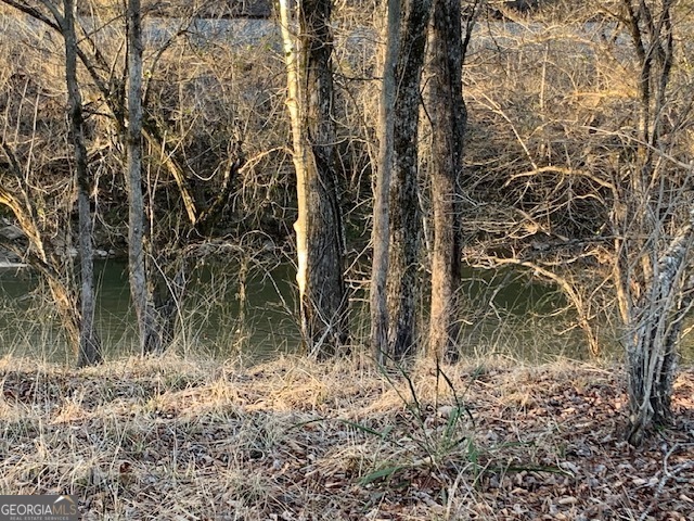0 County Rd 290 Road Property Photo 54