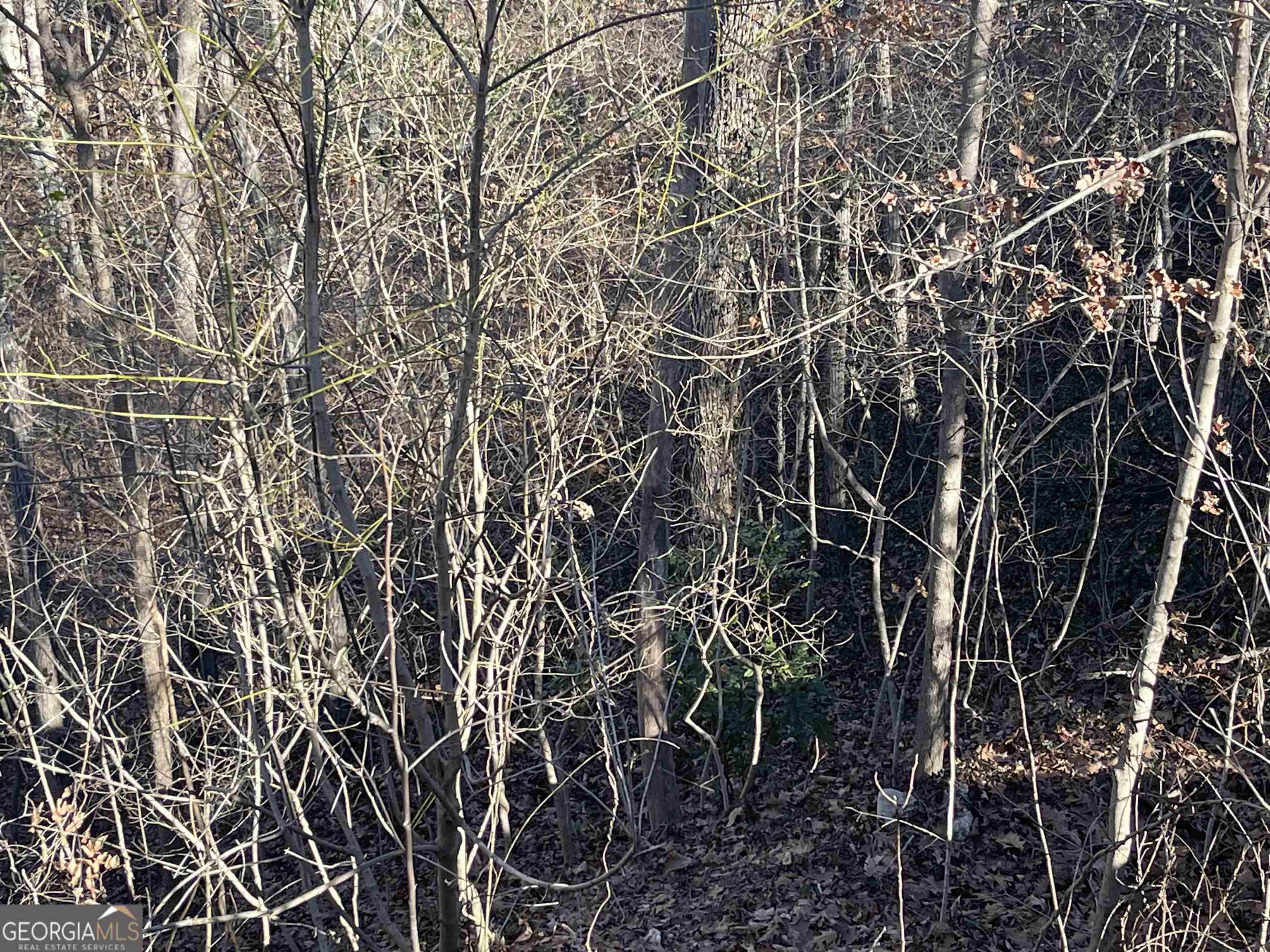 608 & 612 Green Valley Property Photo 1