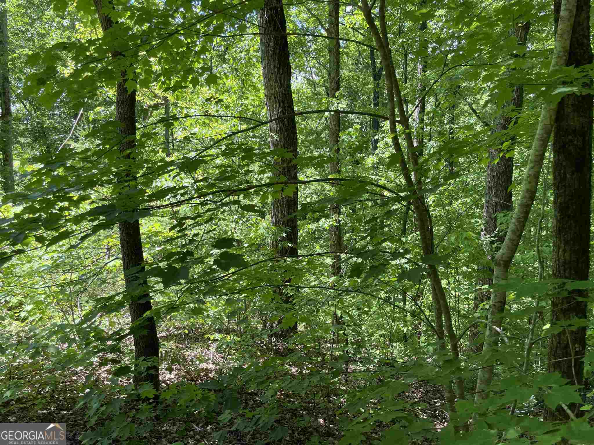 0 Teel Mountain Lane # 42 Property Photo 2