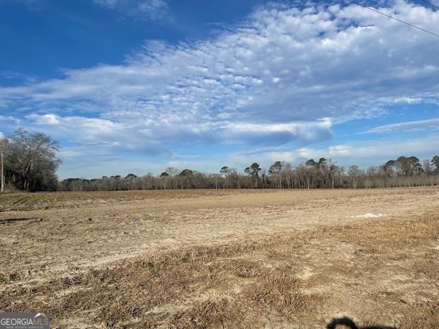 0 S Hwy 301 Property Photo 2