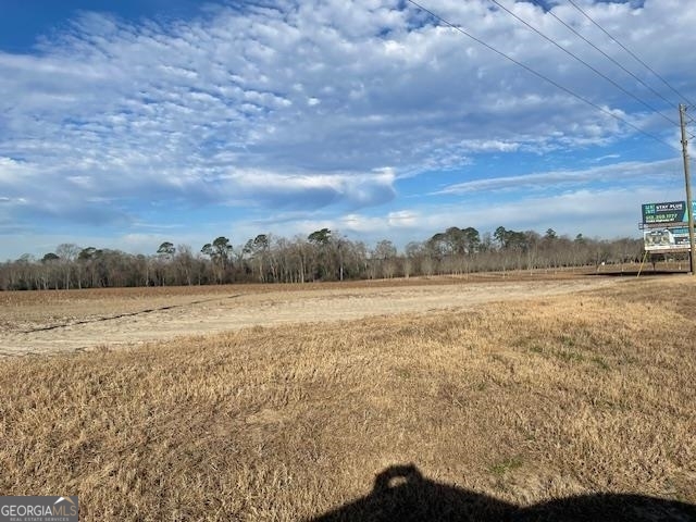 0 S Hwy 301 Property Photo 3