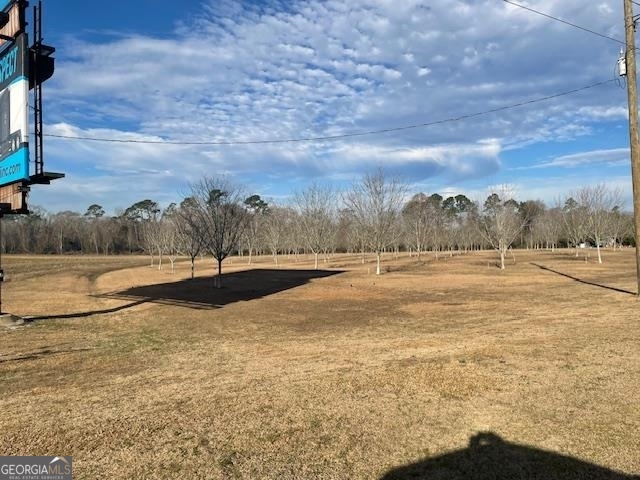 0 S Hwy 301 Property Photo 4