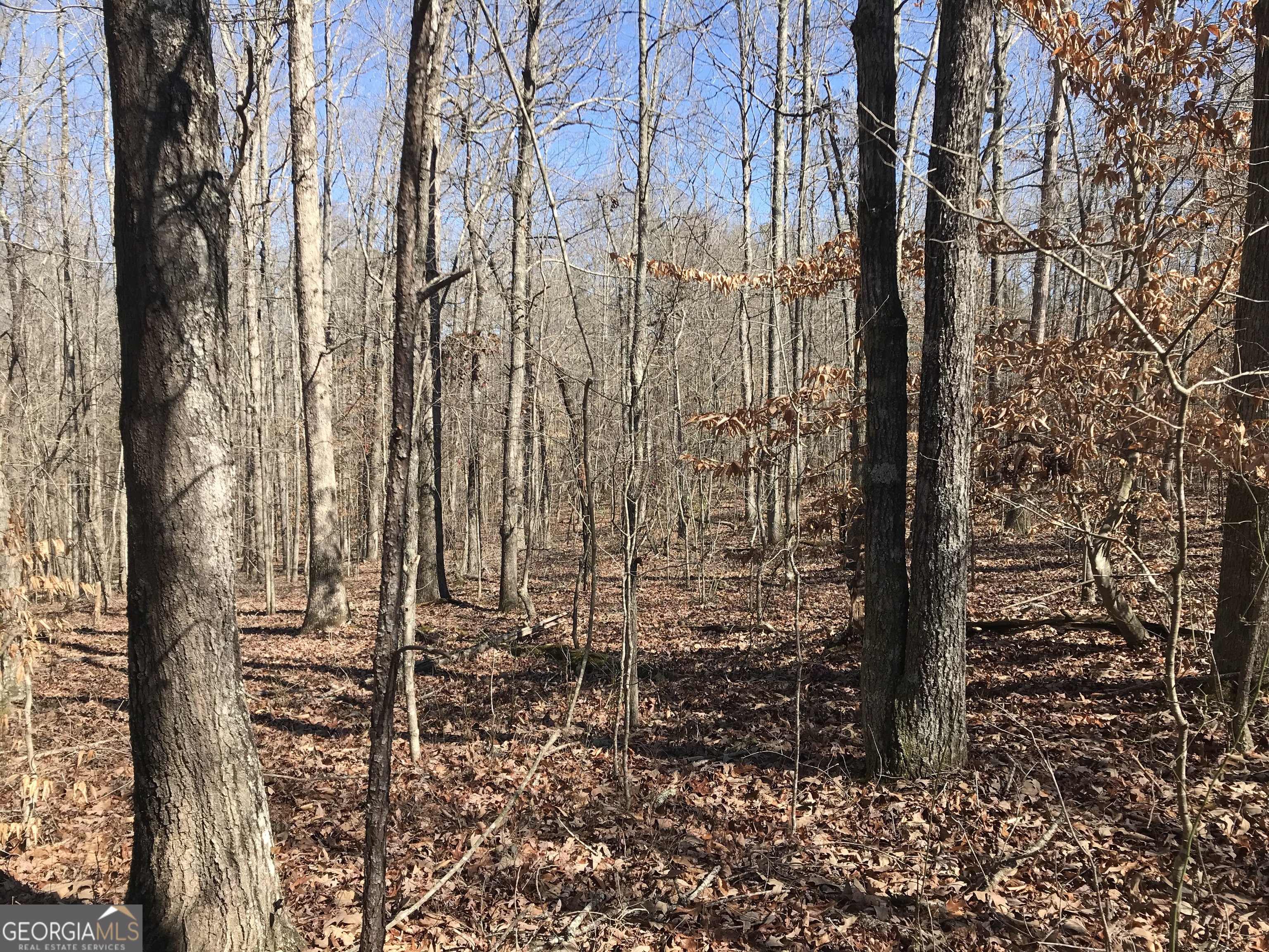 0 Big A Road Property Photo 6