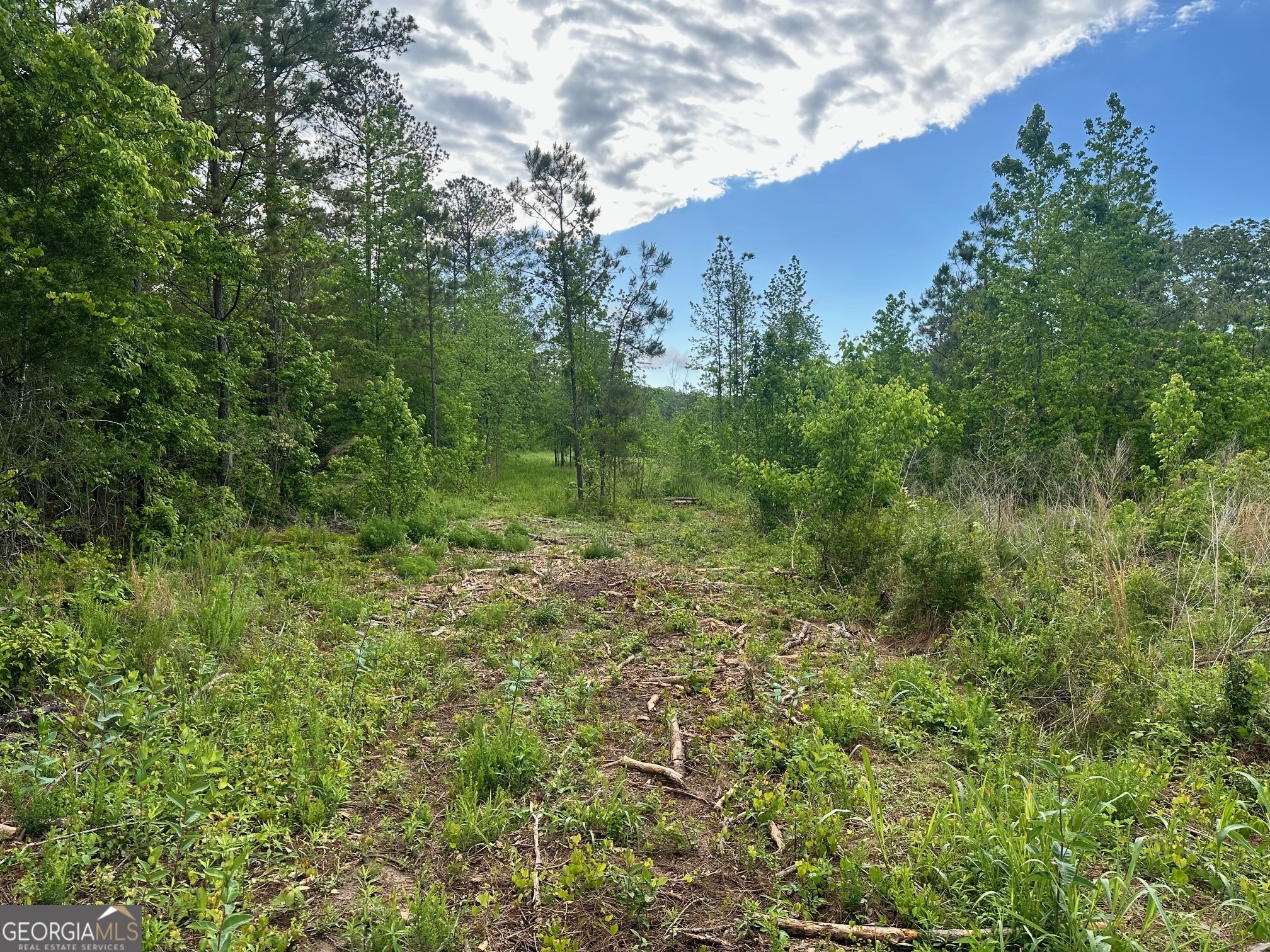 0 Satcher Road # 1 Property Photo 1