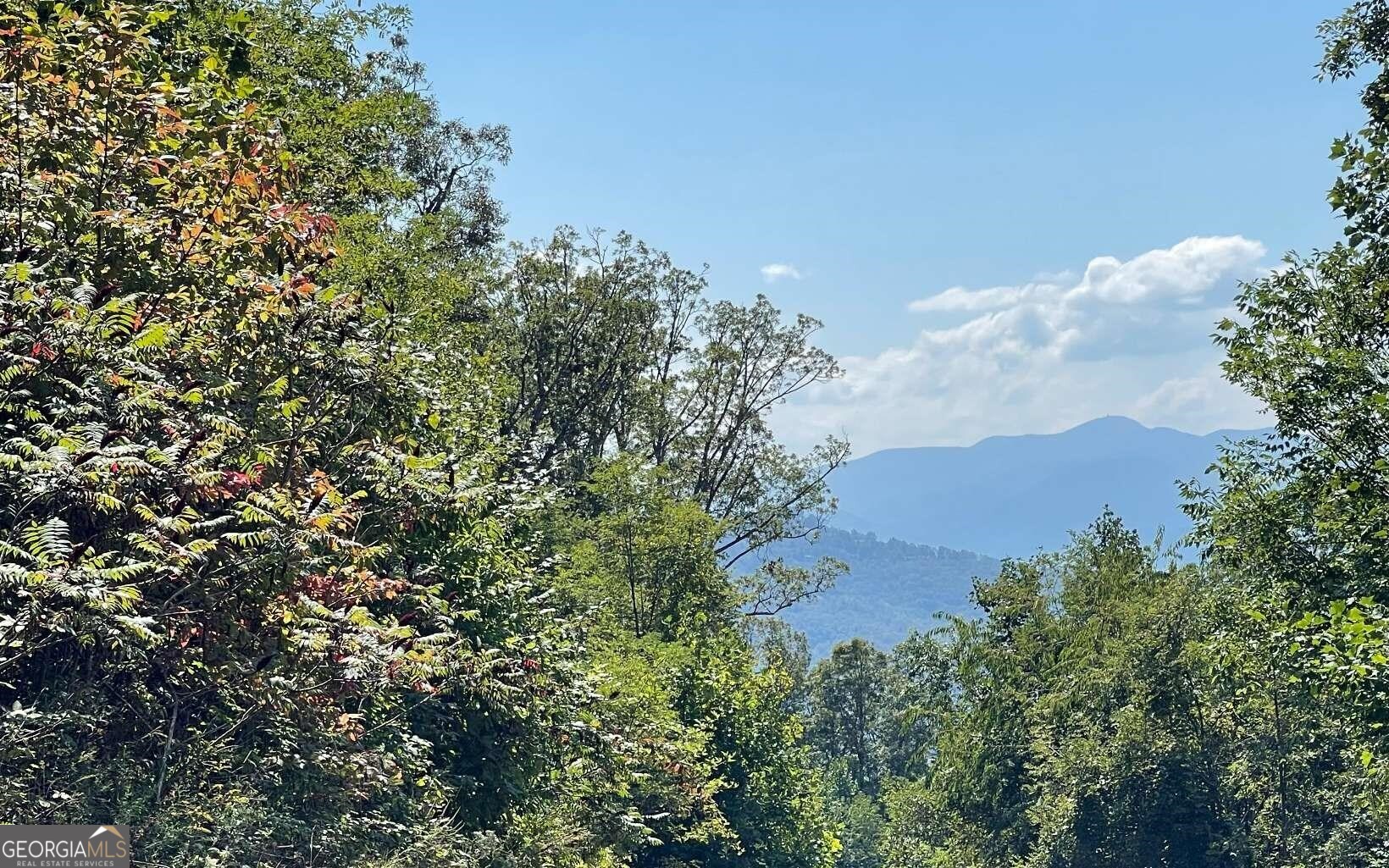 Lot 14 Mountain Harbour Property Photo 4