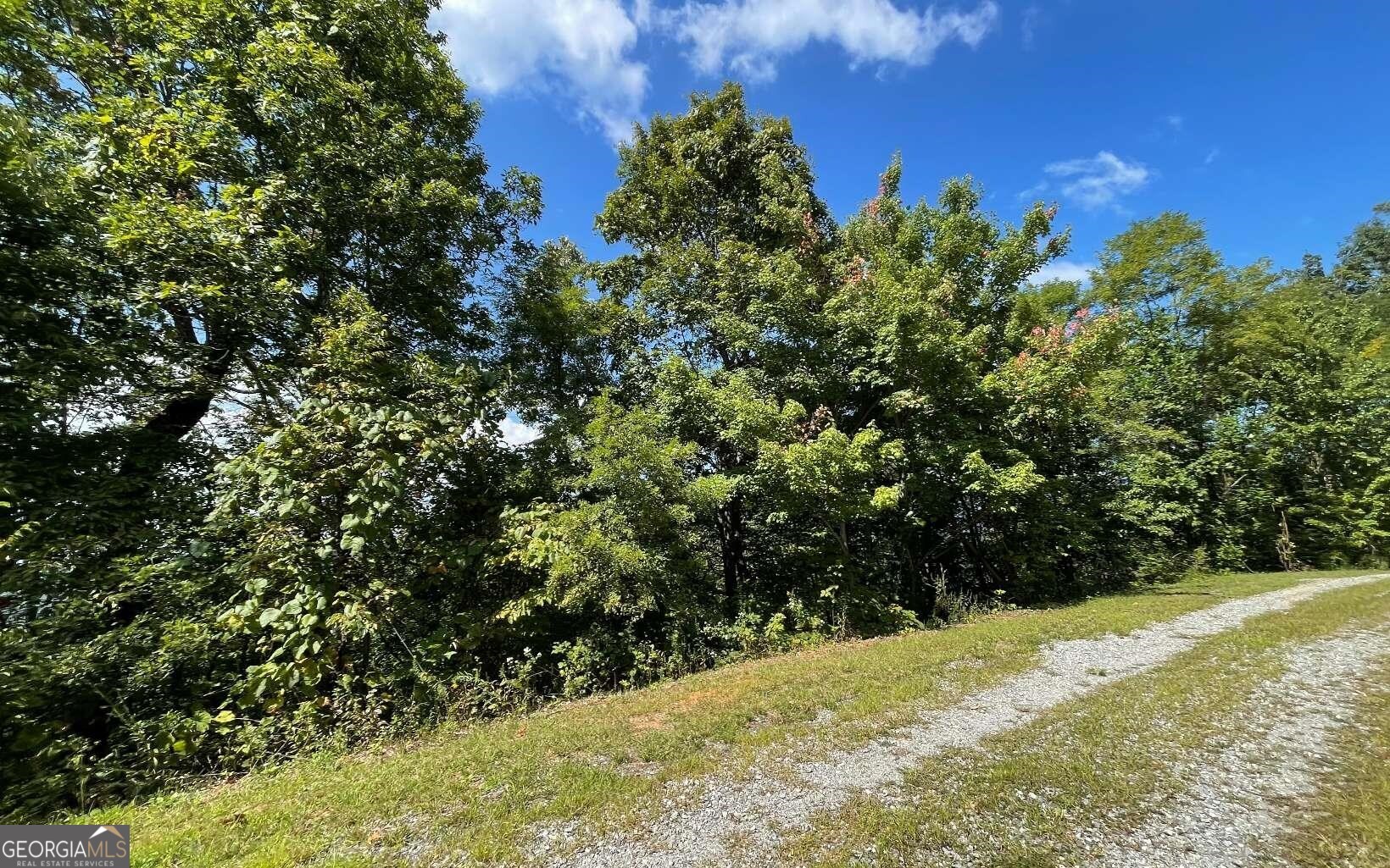 Lot 14 Mountain Harbour Property Photo 6